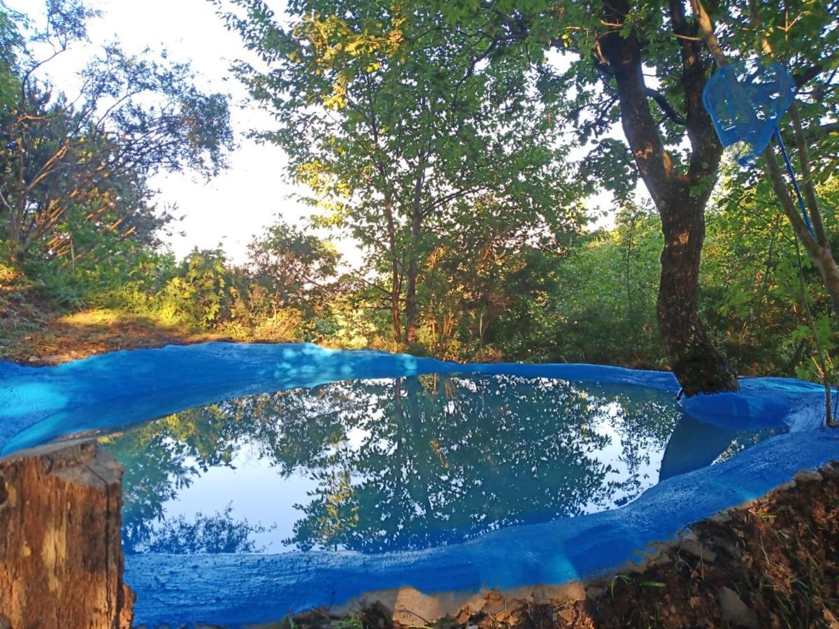@Gatetothewild Bed & Breakfast Coreglia Ligure Luaran gambar