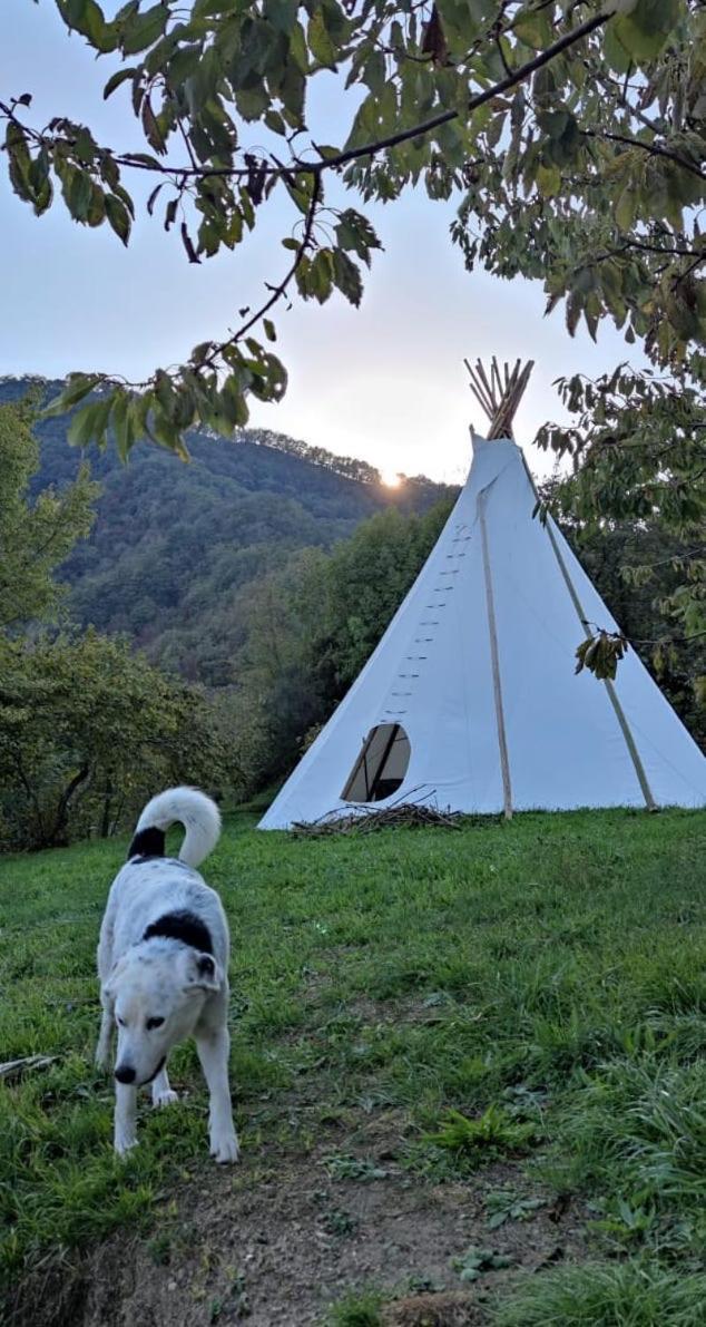 @Gatetothewild Bed & Breakfast Coreglia Ligure Luaran gambar